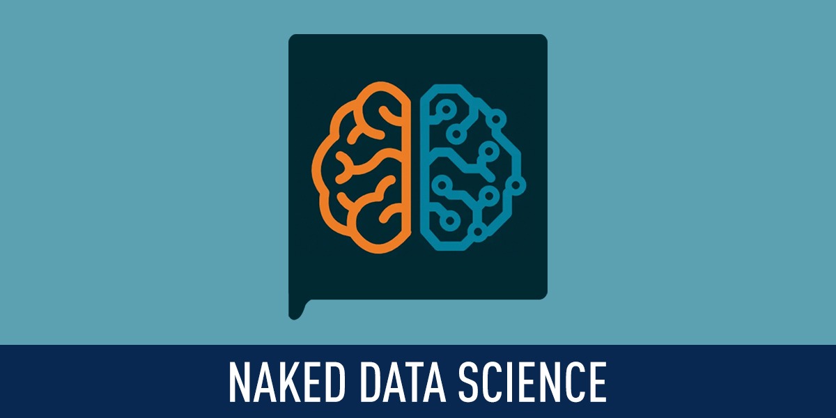 The Naked Data Science podcast logo