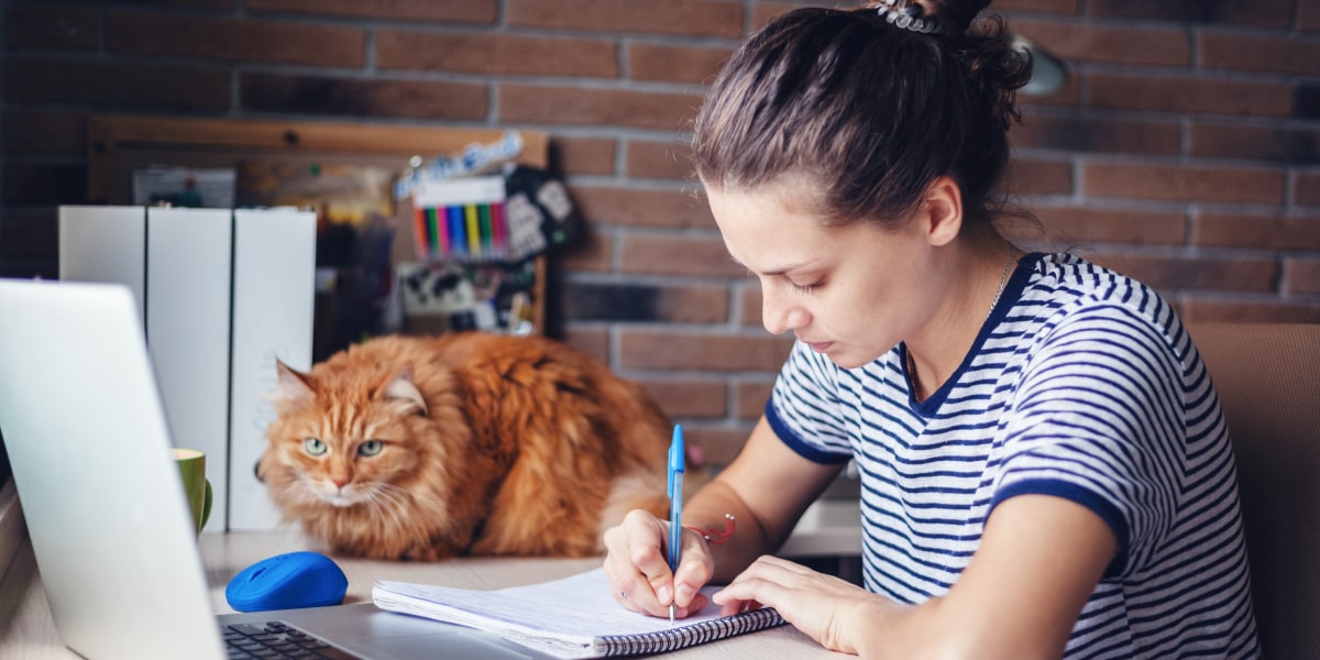 A student in side profile at a desk, working through a free data analytics short course