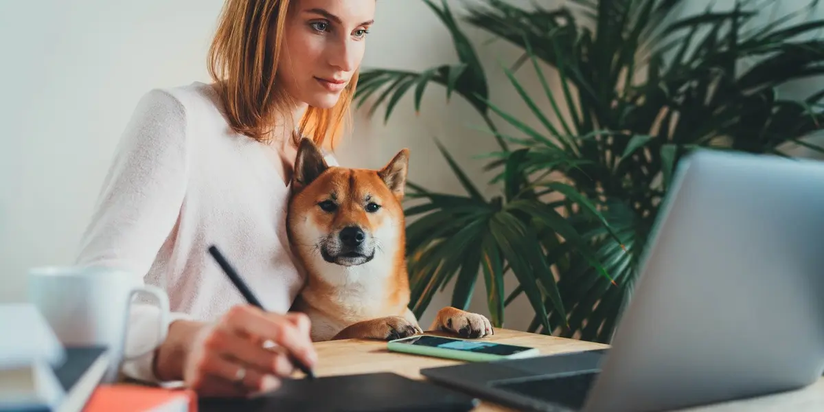 A designer sitting at a desk, working at a laptop and taking notes, with a dog in her lap