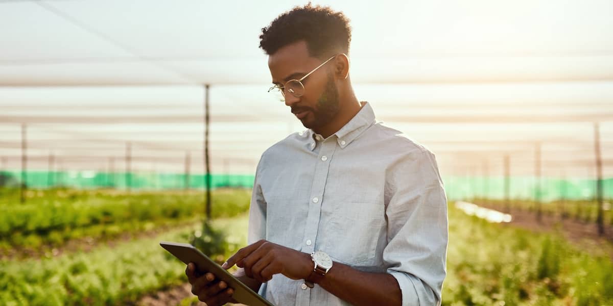 A sustainability analyst looks at a tablet out in the field.