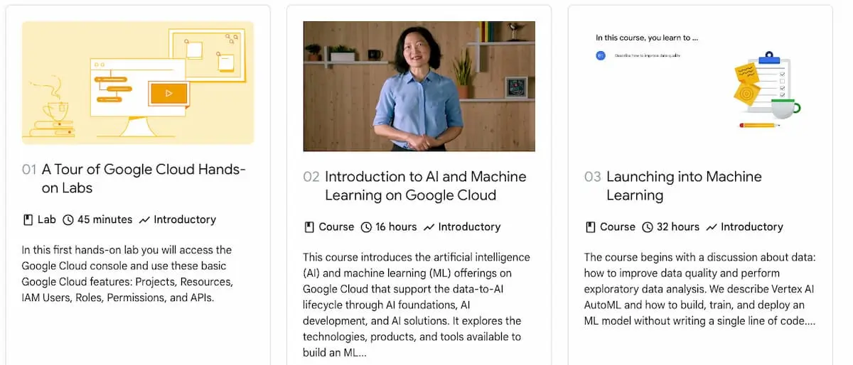 Screengrab from Google Machine Learning Engineer AI certification.
