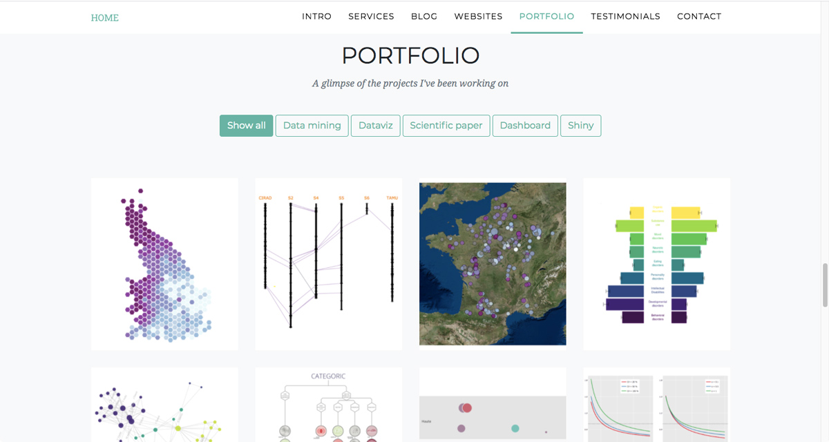 A selection of projects showcased in Yan Holtz's data analytics portfolio