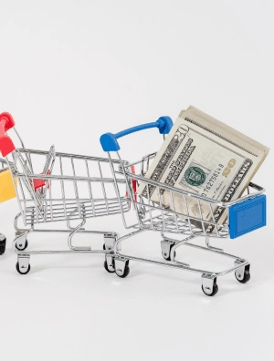 student-outcomes__portfolio-image