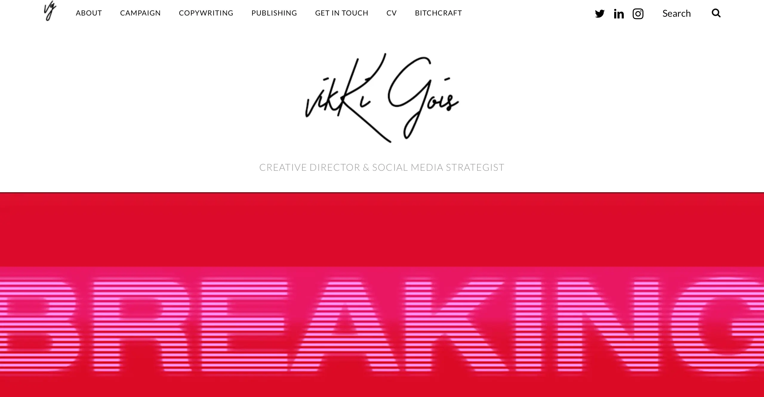 social media portfolio7 Vikki Gois social media portfolio