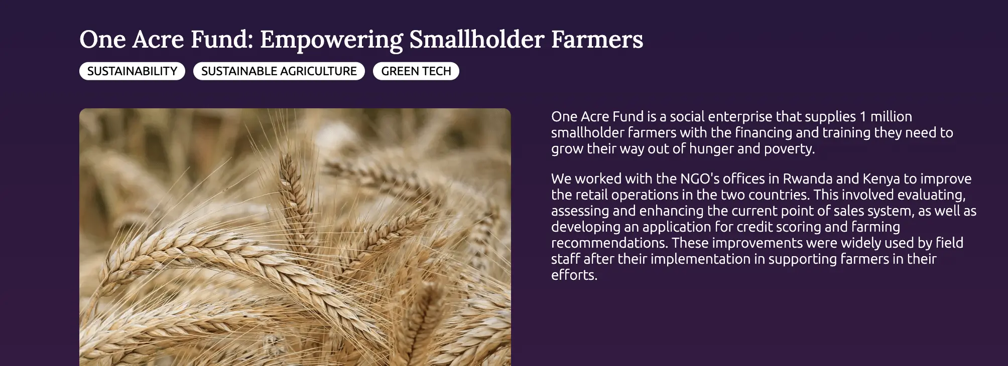 An extract from Laura Zermin's product manager portfolio website.