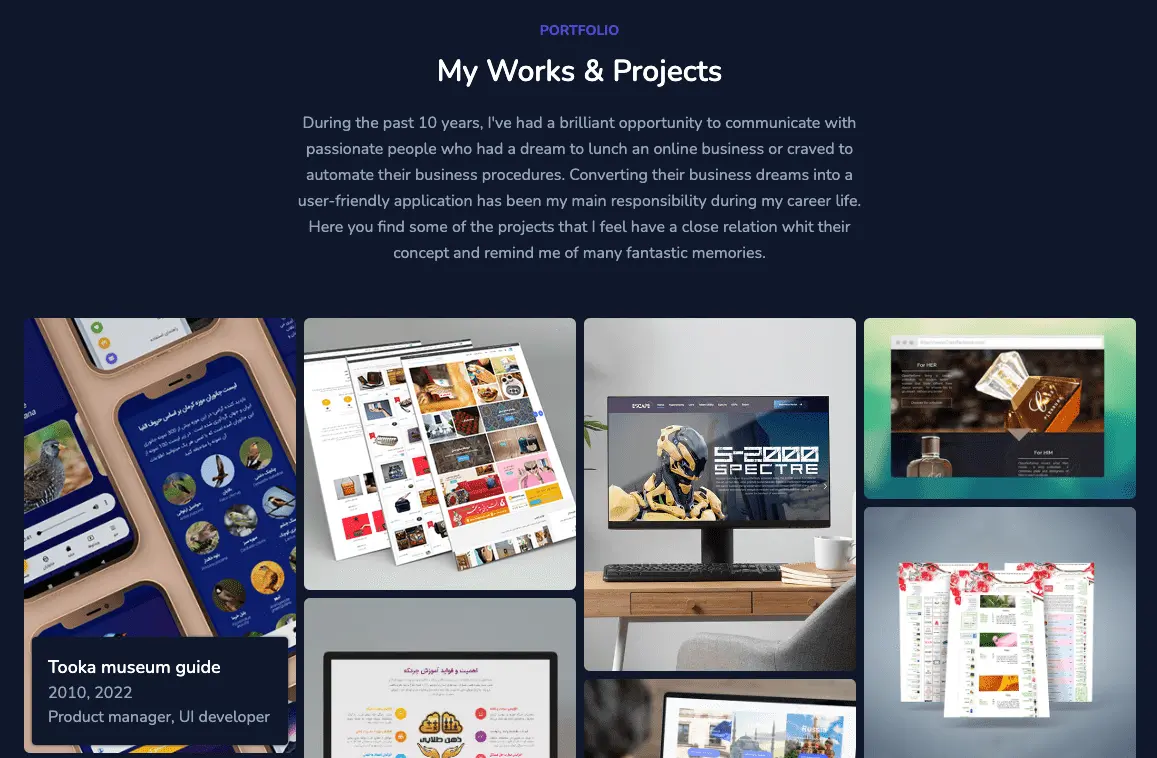 Excerpt from Reza Rezaeipour's product manager portfolio.