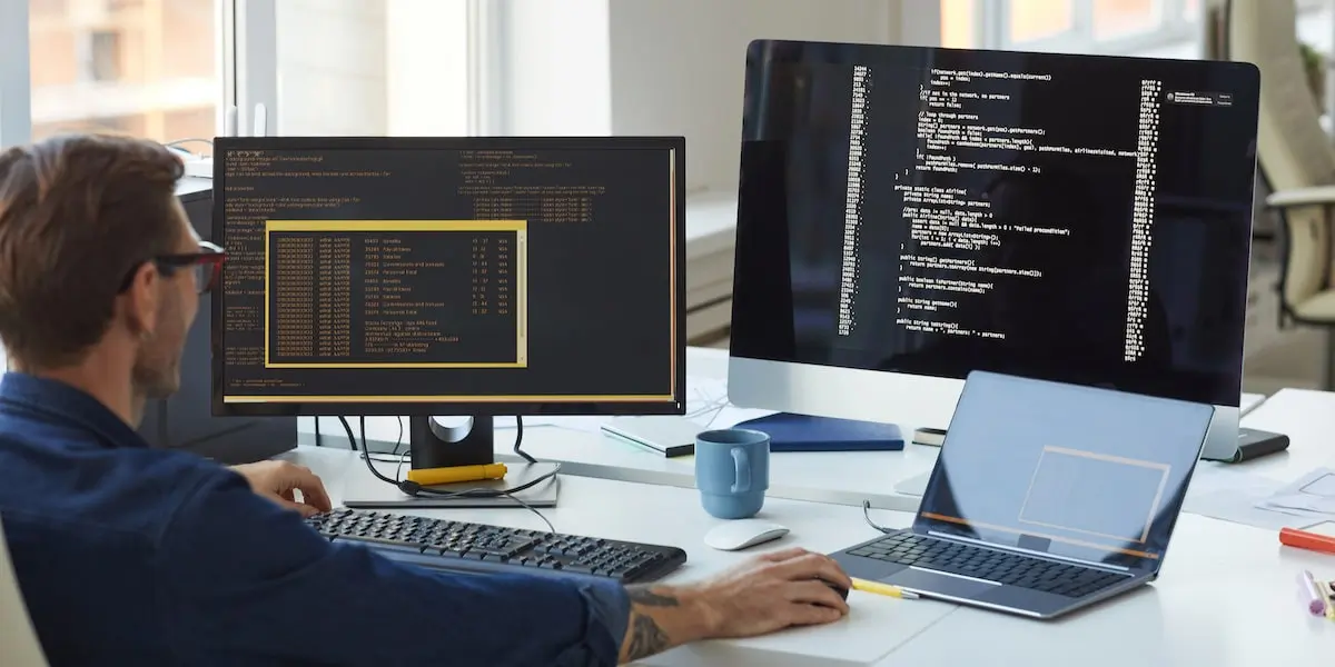 Data architect working on code