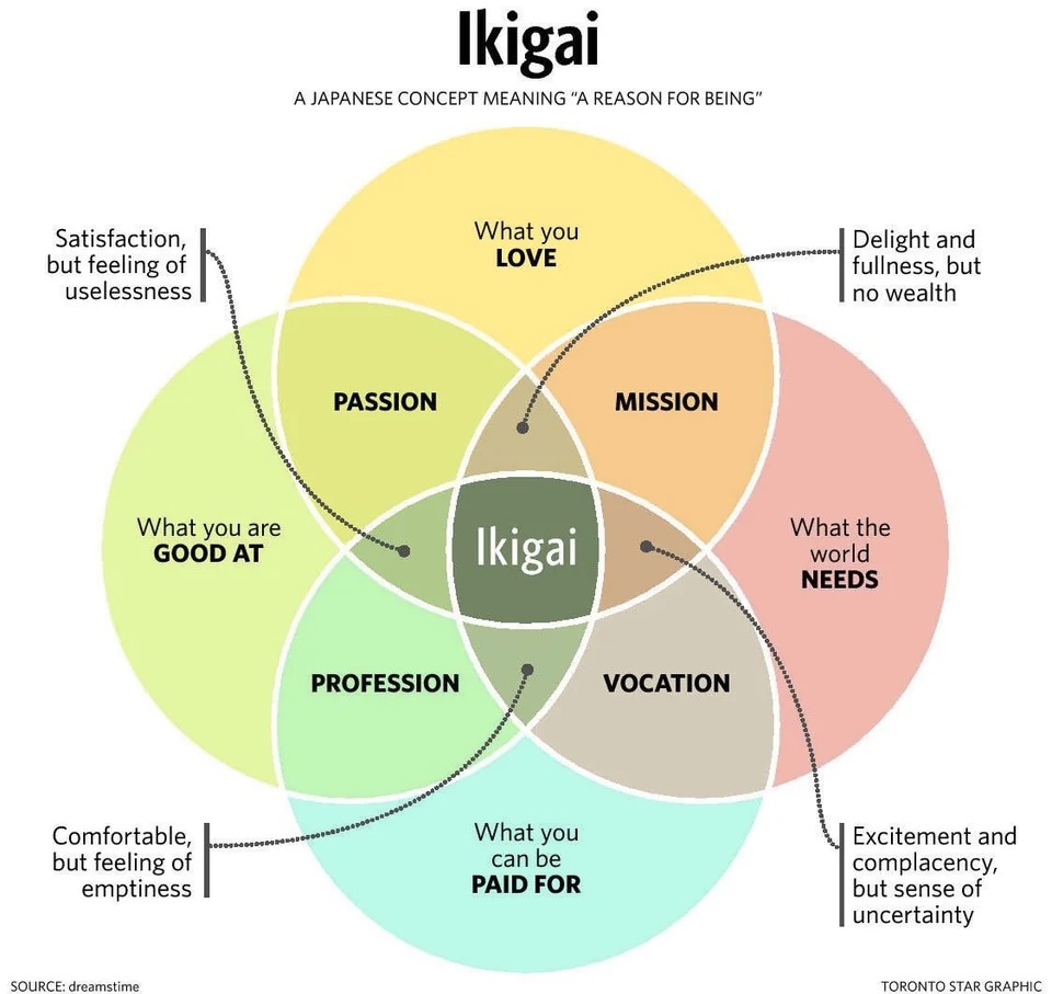 screenshot of Ikigai taken from a career change Reddit post
