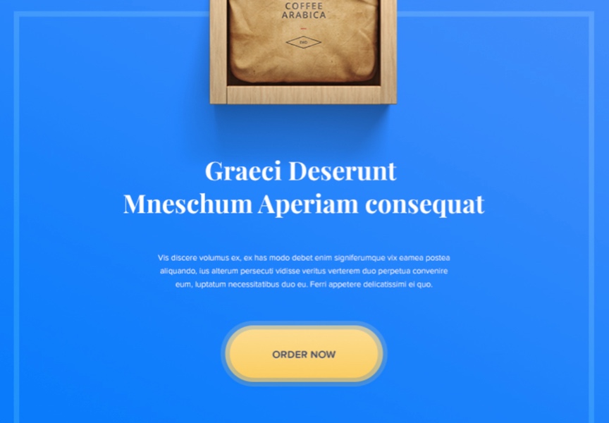 Affordances: Buttons Blue landing page with filler text and an "order now" button