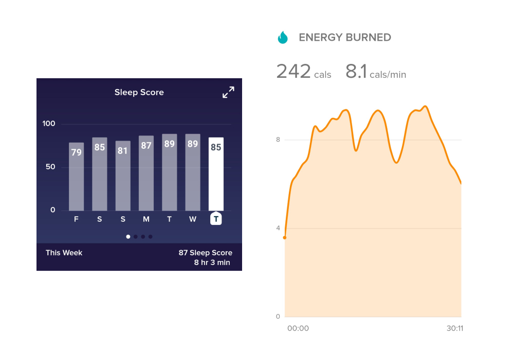 fitbit data viz example 3 fitbit data viz example 3